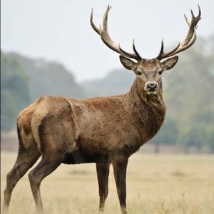 Meet your Posher, Matt